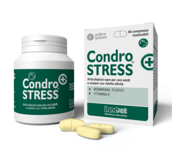 Condrostress® (+)