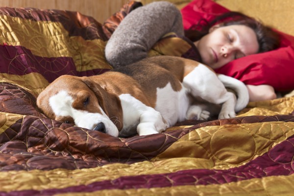 I benefici di dormire con il proprio cane o gatto