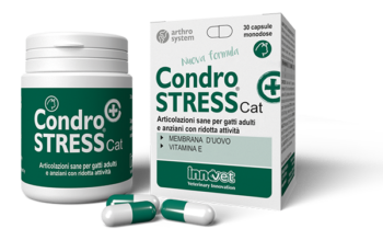 Condrostress® (+) Cat