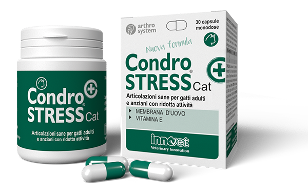 Condrostress® (+) Cat