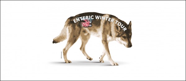 Enteric Winter Tour: un ciclo di serate sulla diarrea del cane