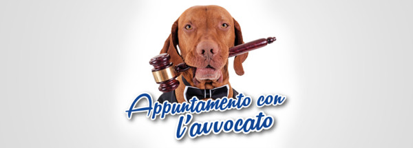 Consulenza legale gratuita per tutti i veterinari del VetExpo