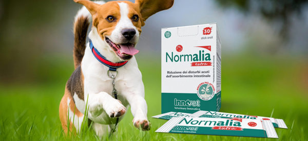 Normalia® Extra: è arrivato il normalizzatore intestinale extra-ordinario