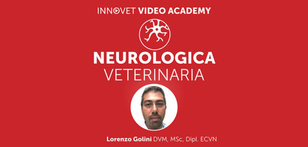 Neurologia del cane su Innovet Video Academy