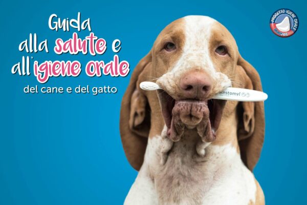 Guida alla salute e igiene orale