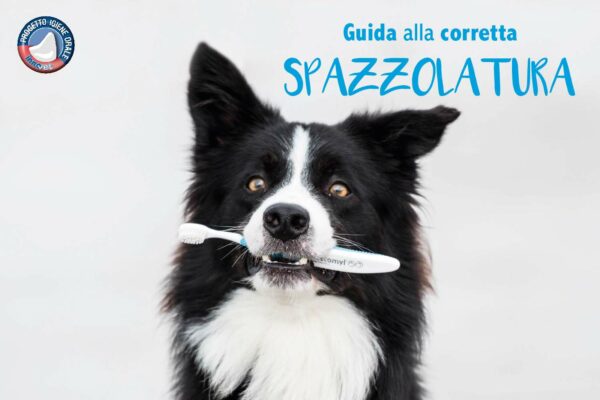 Guida alla corretta spazzolatura dei denti