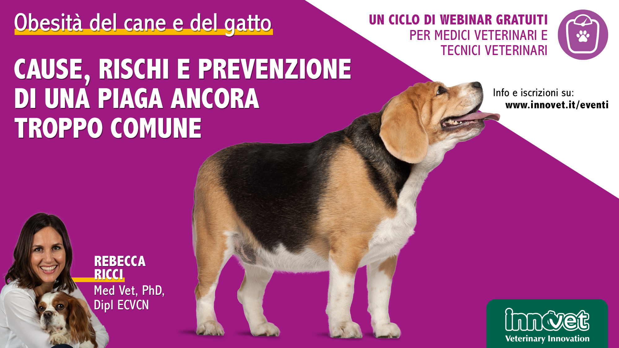 Obesità Del Cane E Del Gatto Cause Rischi E Prevenzione Di Una Piaga Ancora Troppo Comune 4641