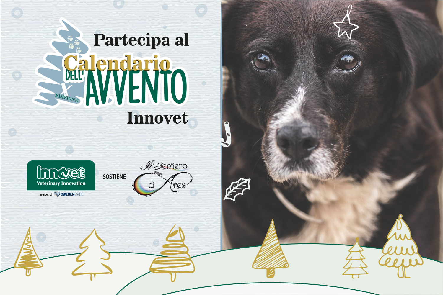 Calendario Avvento Natale Cane