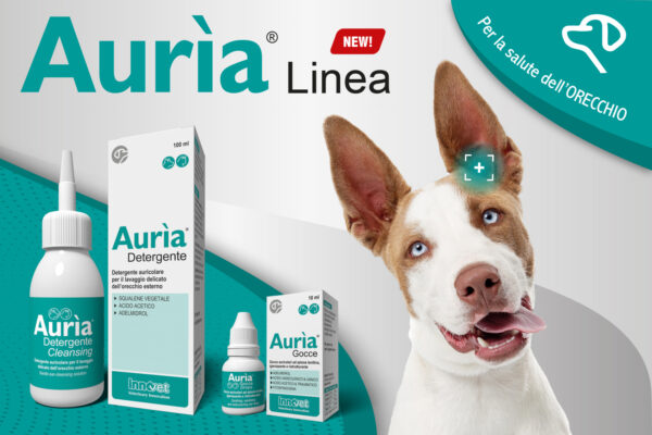 Prenditi cura delle sue orecchie con la nuova linea Aurìa!