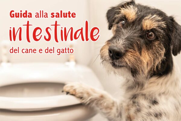 Guida alla Salute Intestinale del cane e del gatto