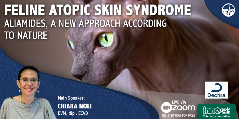 Feline atopic skin syndrome: ALIAmides as a new approach according to Nature