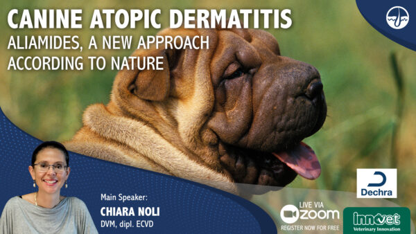 Canine Atopic Dermatitis: Aliamides, a new approach according to nature