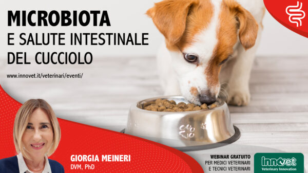 Microbiota e salute intestinale del cucciolo