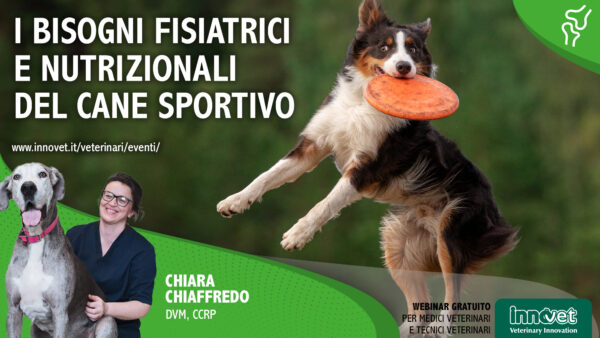 I bisogni fisiatrici e nutrizionali del cane sportivo