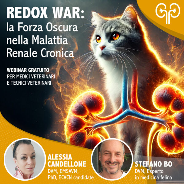 REDOX WAR: LA FORZA OSCURA NELLA MALATTIA RENALE CRONICA