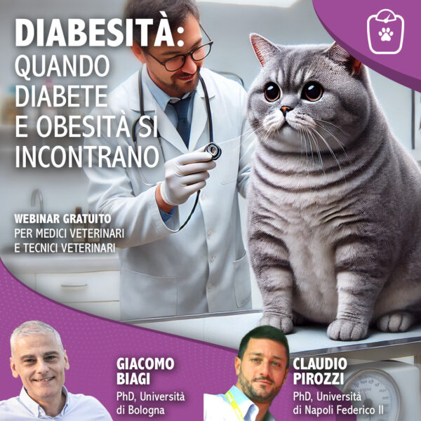 DIABESITÀ: QUANDO DIABETE E OBESITÀ SI INCONTRANO